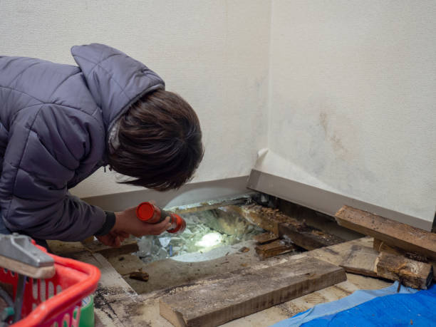 Best Asbestos and Lead Testing During Mold Inspection  in Jackson, MS