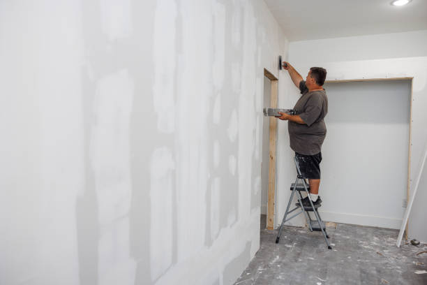 Best Emergency Mold Remediation  in Jackson, MS