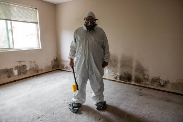Best Real Estate Mold Inspection  in Jackson, MS