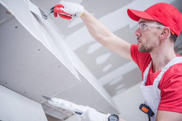 Trusted Jackson, MS Mold Removal Experts
